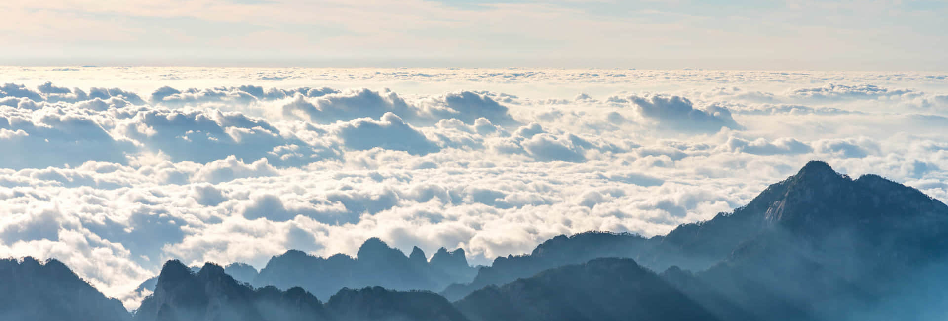 BANDAO半岛体育·(中国)官方网站简介